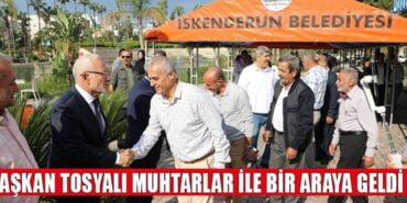 Screenshot_2023-10-19-13-14-42-434_com.android.chrome-edit